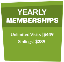 indoor playground yearly memberships